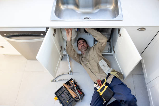 Best Emergency Plumber  in Necedah, WI