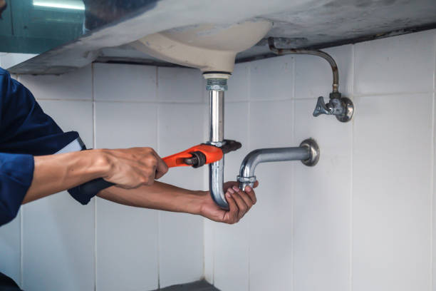 Best Affordable Plumber Near Me  in Necedah, WI