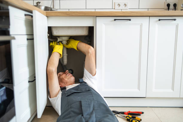 Best Affordable Plumbing Services  in Necedah, WI