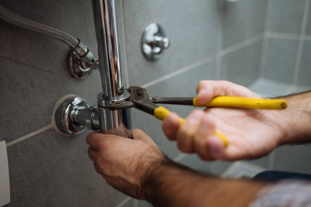 Best Local Plumber Services  in Necedah, WI
